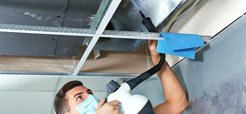 Our Air Duct Rodent Removal Services in Reynoldsburg, OH