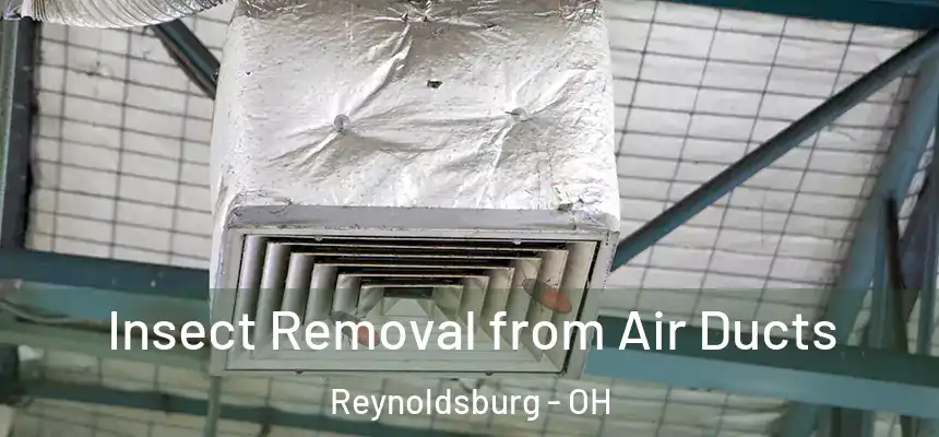  Insect Removal from Air Ducts Reynoldsburg - OH