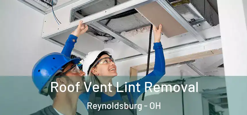  Roof Vent Lint Removal Reynoldsburg - OH