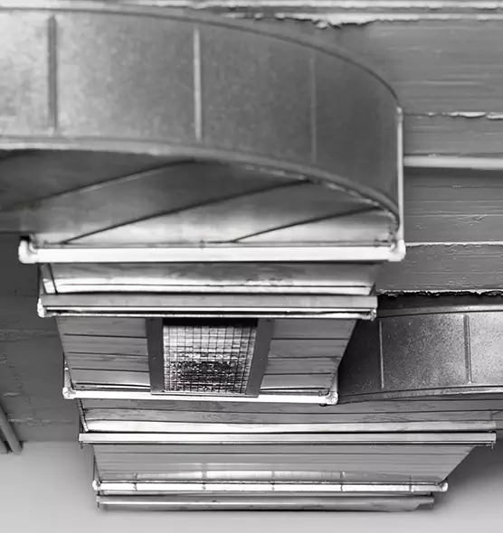 Professional Air Duct Pet Hair Removal in Reynoldsburg, OH