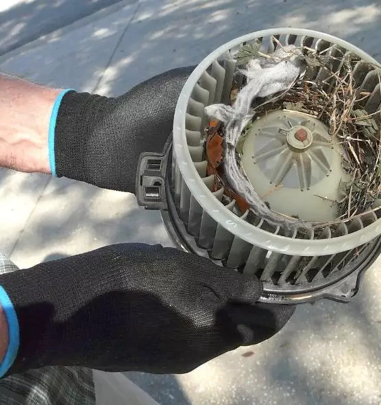 About Air Duct Rat Removal in Reynoldsburg, OH