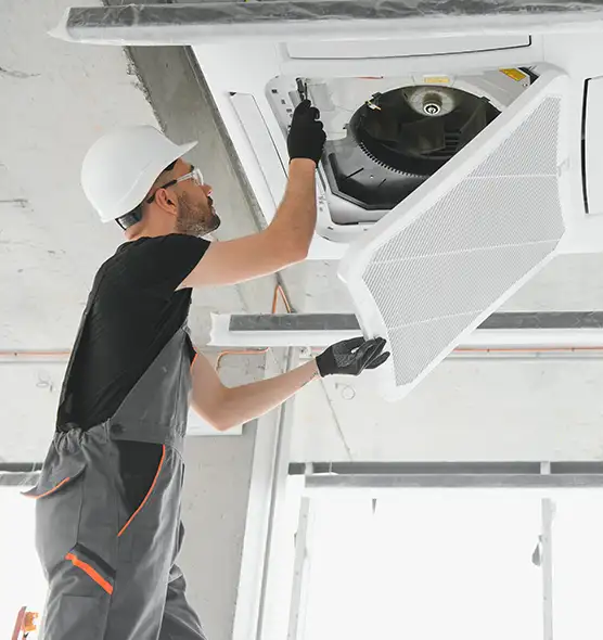 About Air Duct Rodent Removal in Reynoldsburg, OH